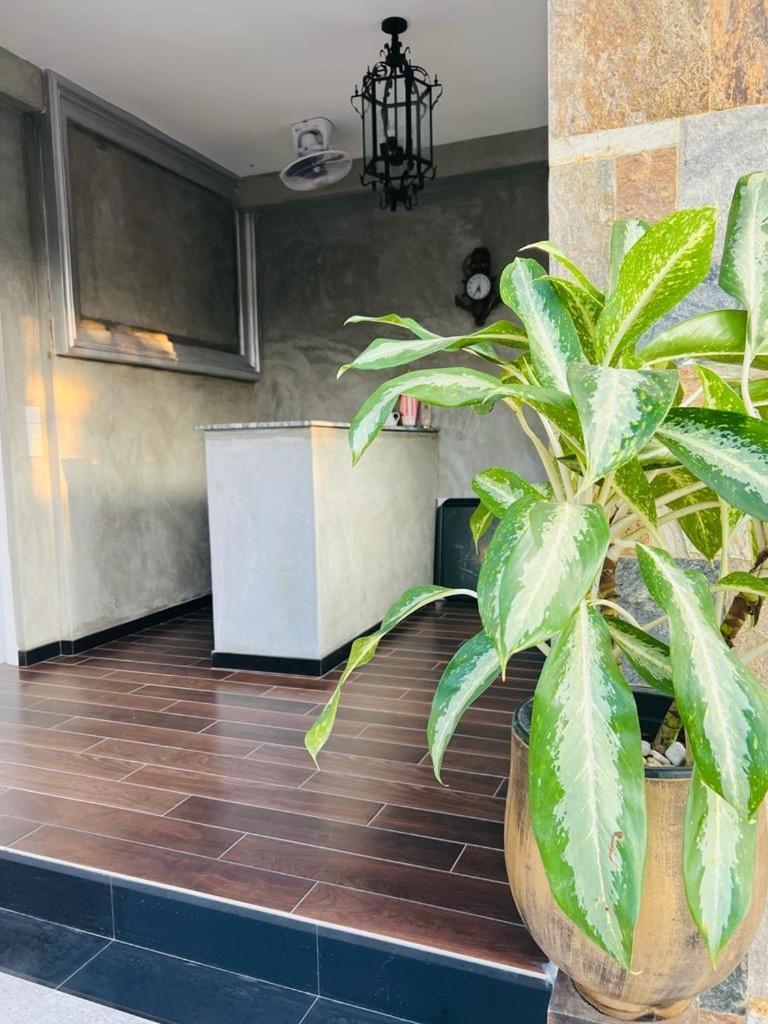Mama'S Boutique Beach Hotel Negombo Bagian luar foto